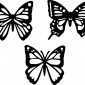 butterfly04