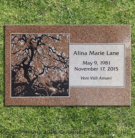 The beautiful mottling of Morning Rose granite is used to bring life to a custom tree design.